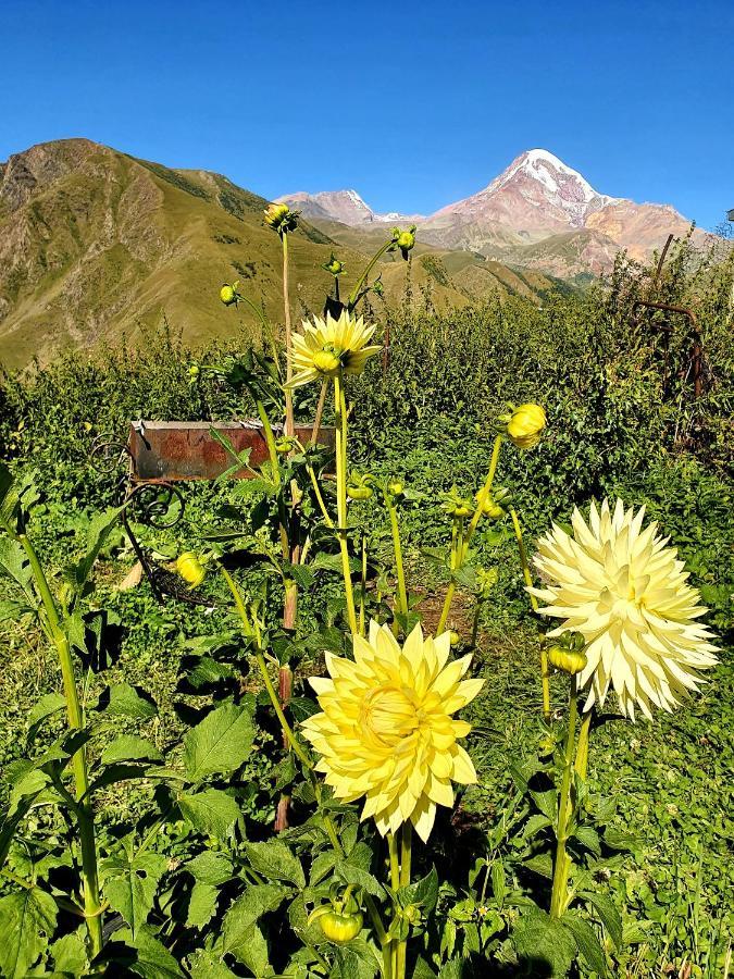 Nikolo Inn Kazbegi Εξωτερικό φωτογραφία